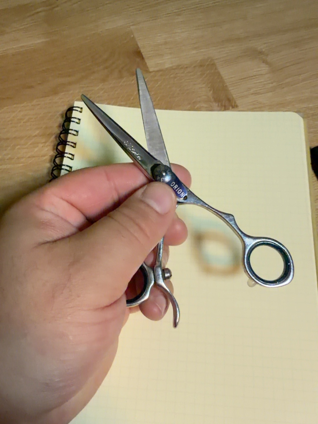 Professional Orion shear held over a grid notebook