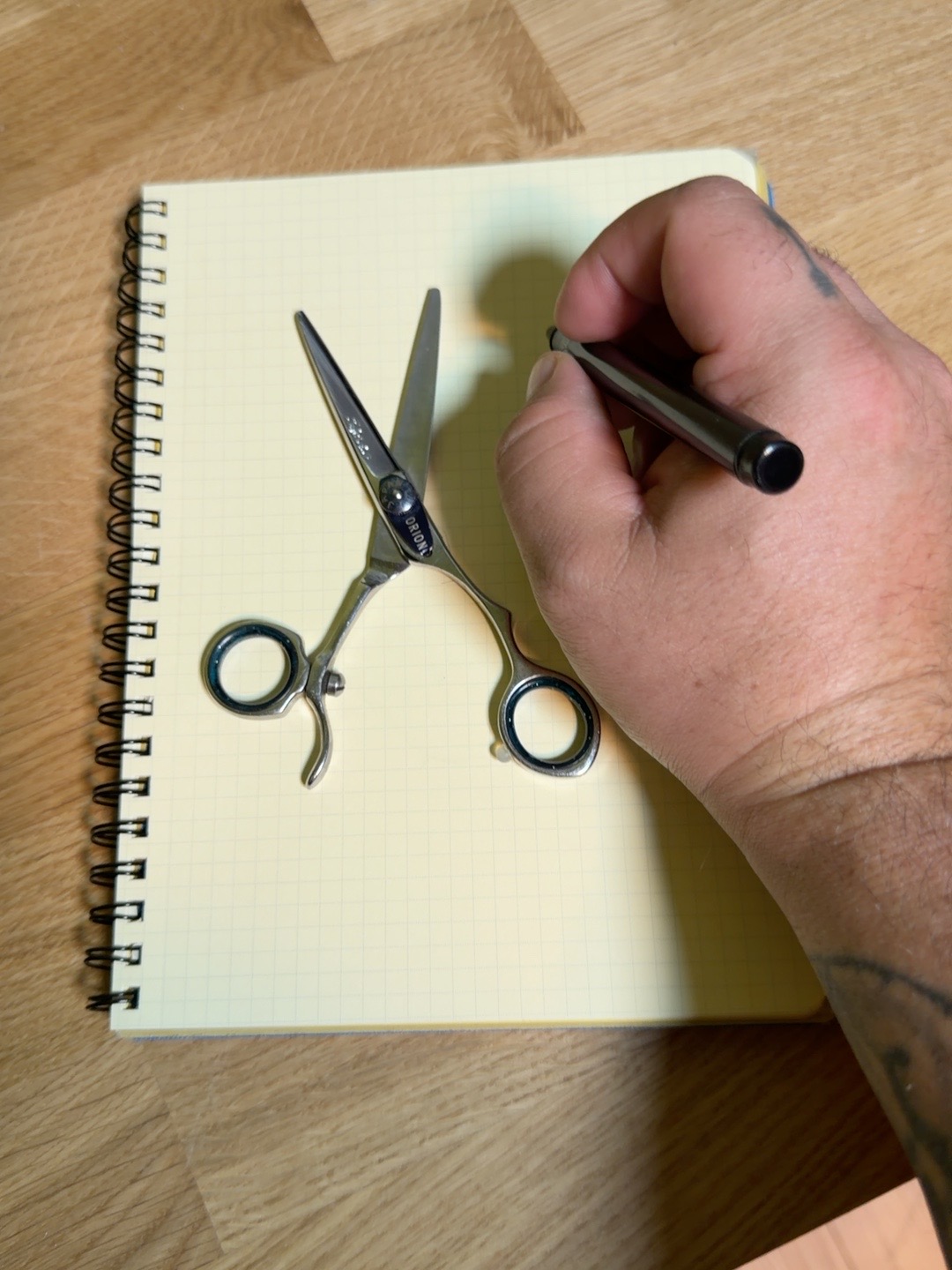 Hand documenting an Orion shear on a grid notebook